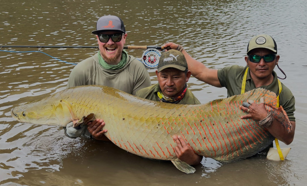 A very happy angler and his guides holding an arapaima in the water, caught on an Arapaima Purple/Black fly
