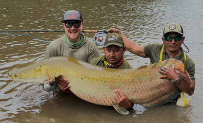 A very happy angler and his guides holding an arapaima in the water, caught on an Arapaima Purple/Black fly
