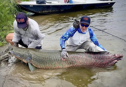 An angler and his guide kneeling in shallow water with large arapaima caught on an Arapaima Purple/Black fly 