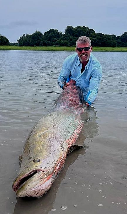 Angler holding a large arapaimacaught on the Arapaima Fly Burgundy Head fly