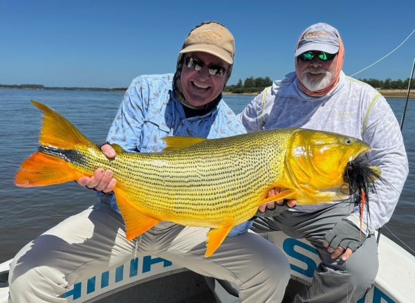 Anglers smilling with a golden dorado caught on the Arapaima Fly Burgundy Head fly