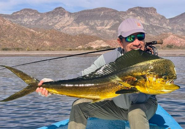 Angler holding a mahi-mahi caught on the Fire Tiger Fly from a boat