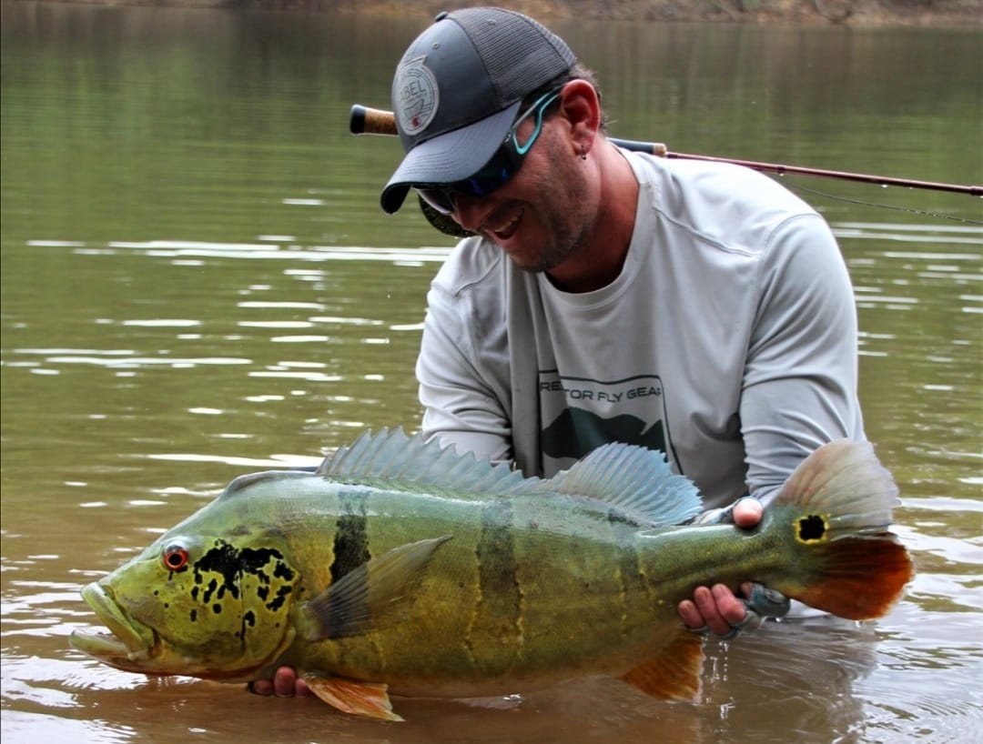 Orinoco Flies founder holding a heavy peacock bass in the water, caught on the Gray Sabalo Fly
