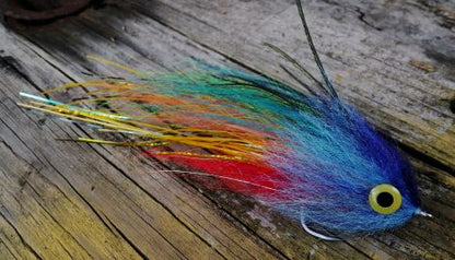 Macaw ly, hand-tied 6 inch peacock bass streamer in shades of blue, red and orange with yellow eyes