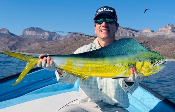 Smiling angler holding a mahi-mahi with rocky mountains behind, caught on a Gray Bait Fish Diver.