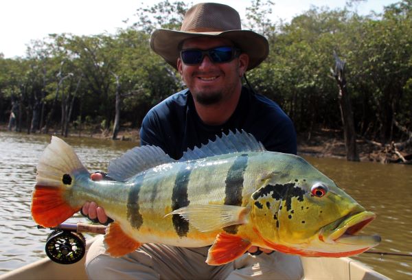Angler in a wide-brim hat holding a colorfull peacock bass in a boat, caught on the Olive/white fly