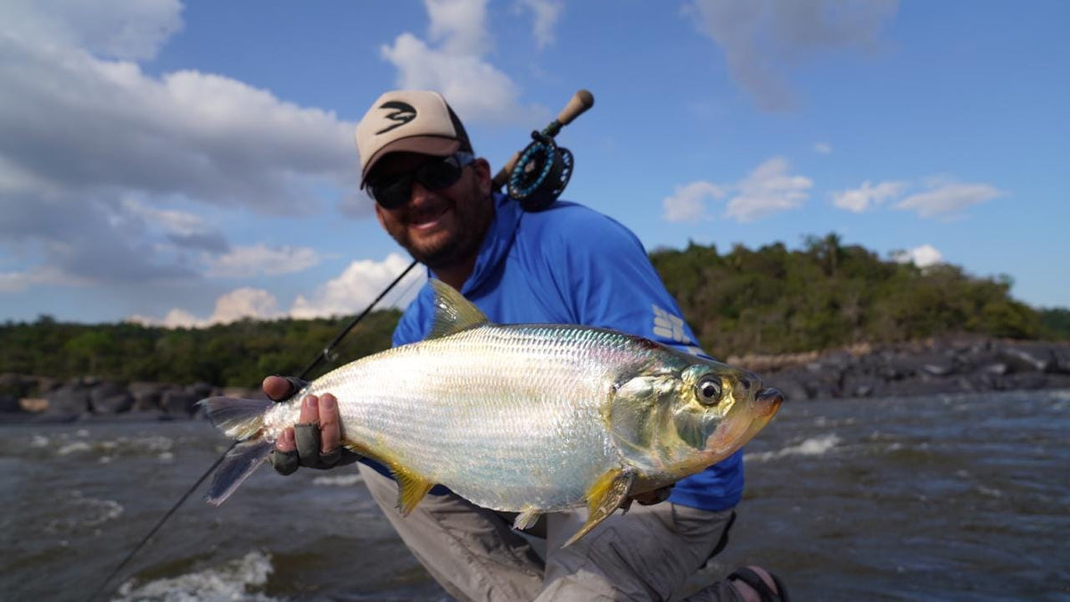 A Sardinata, caught on the Payara Dragon Fly Sardinata pattern this fish colors inspired.