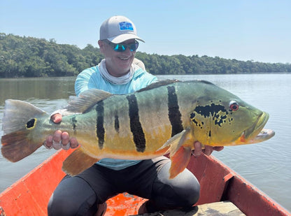 Smiling angler with a large barred peacock bass caught on the Black Tail Bocon Fly