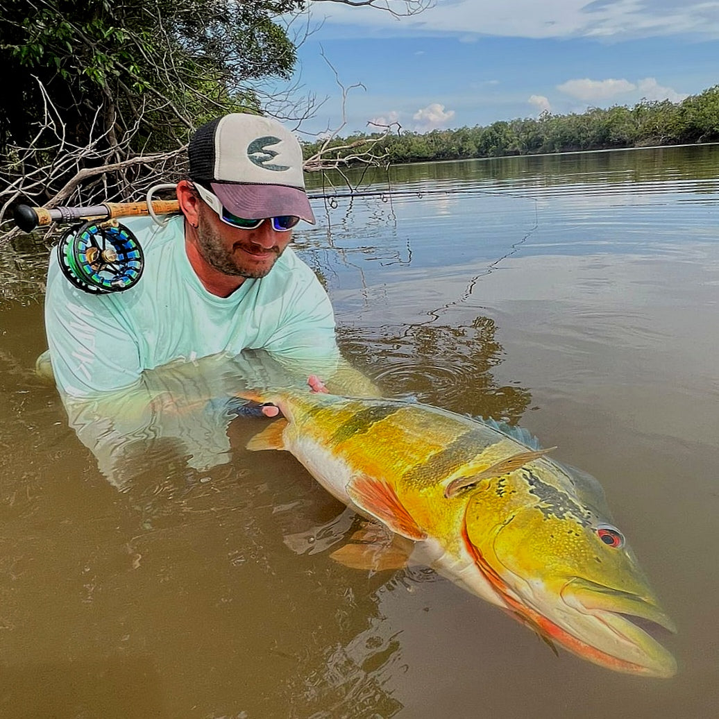 Orinoco Flies founder releasing a large peacock bass, caught on the Original Popper