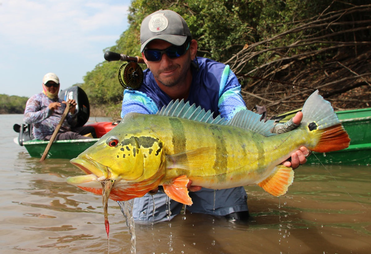 Orinoco Flies founder holding a large peacock bass caught on a Red Tail Arari Fly.
