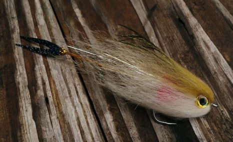 Black tail Bocon peacock bass snack fly in tan and cream with red gill and a black tail on wood. 