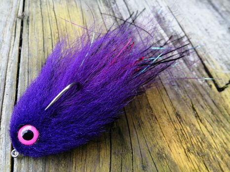 Underside of the black and purple Diver Fly showing a pink eye as a hot spot on weathered wood.