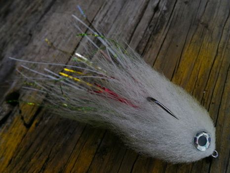 Undersde of the Gray Bait Fish Diver fly showing the pale belly with a silver eye as a hot spot.
